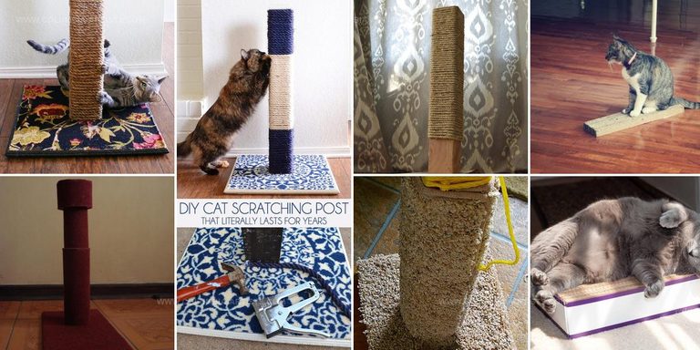 1179739 DIY Cat Scratcher Ideas
