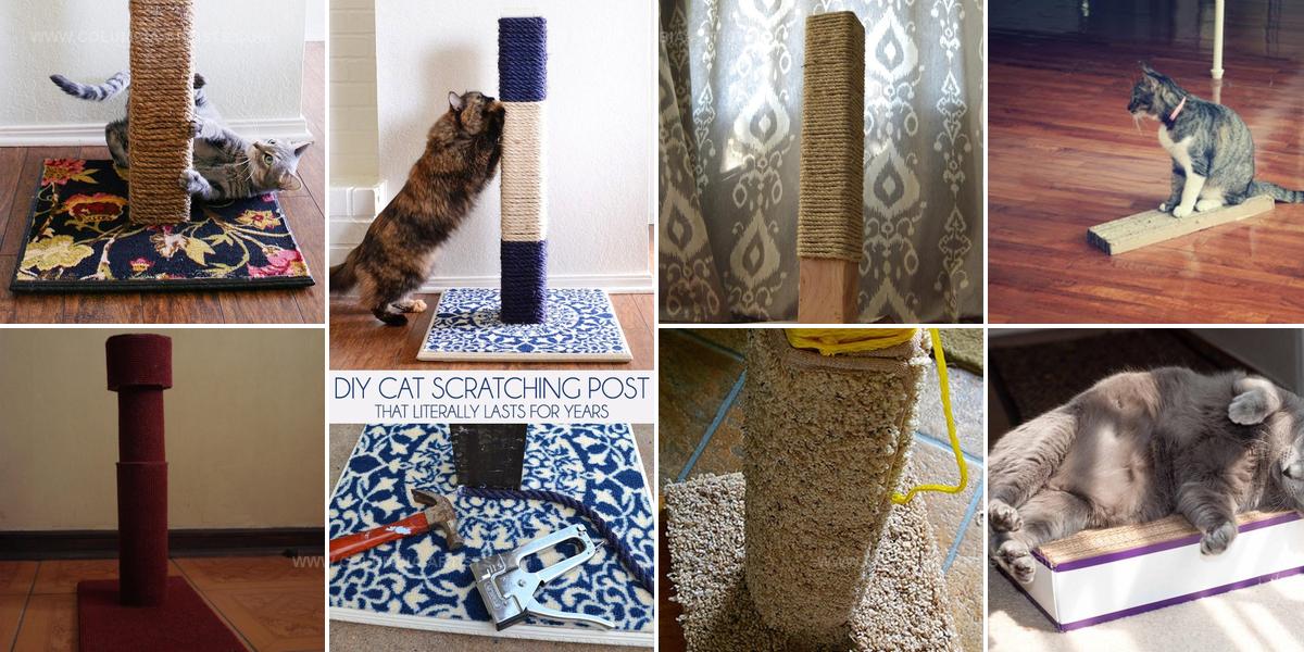 1179739 DIY Cat Scratcher Ideas