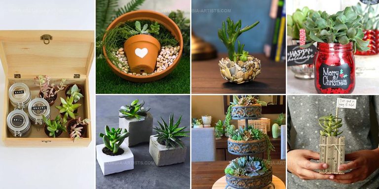 5871629 DIY Succulent Gift Ideas