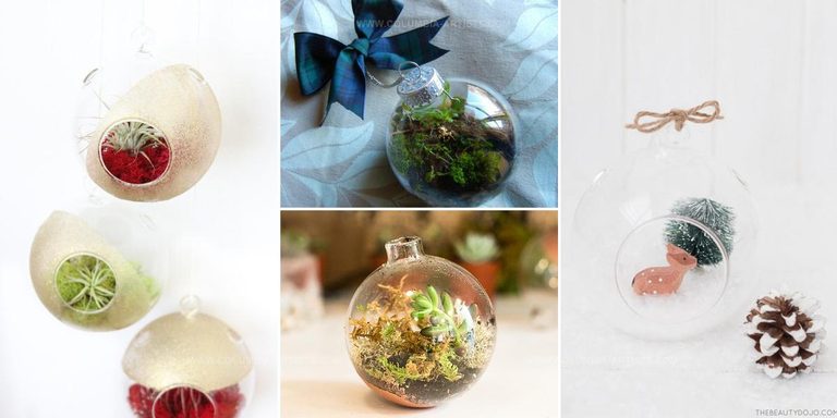 8230334 DIY Christmas Terrariums