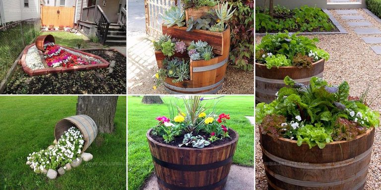 3876702 Affordable DIY Wine Barrel Planters