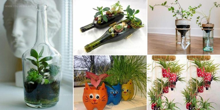 8246368 DIY Bottle Garden Ideas