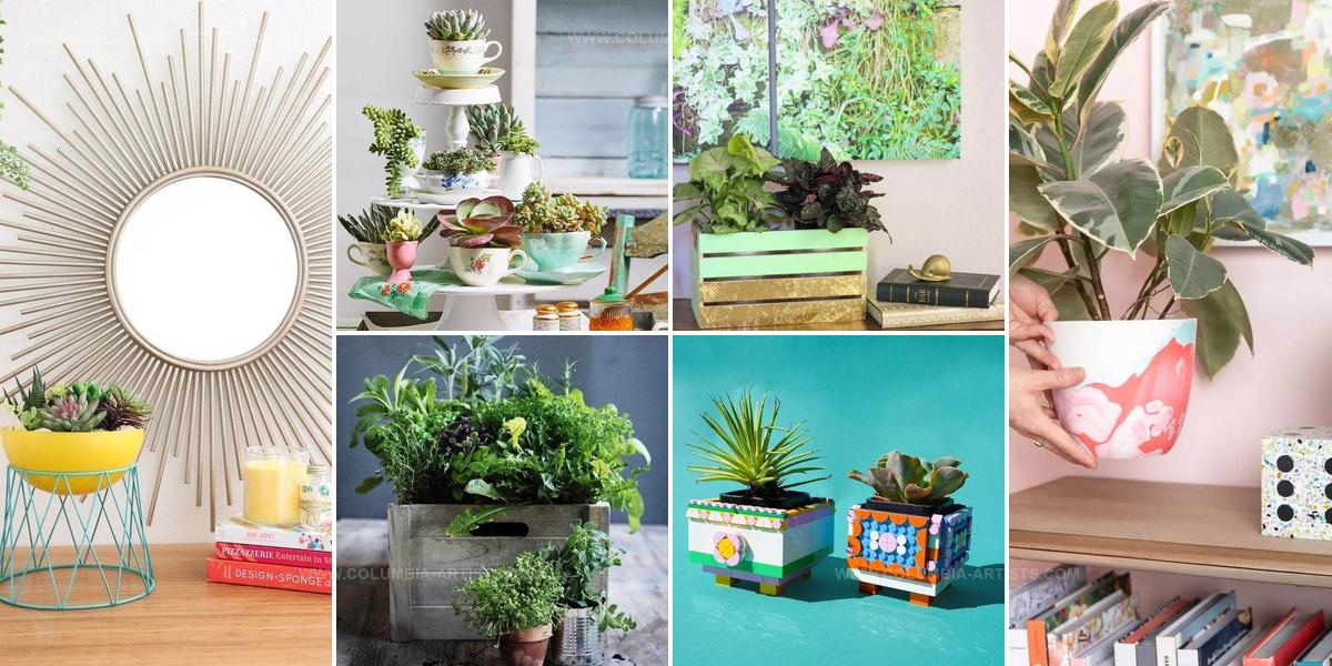 6435878 DIY Planter Ideas