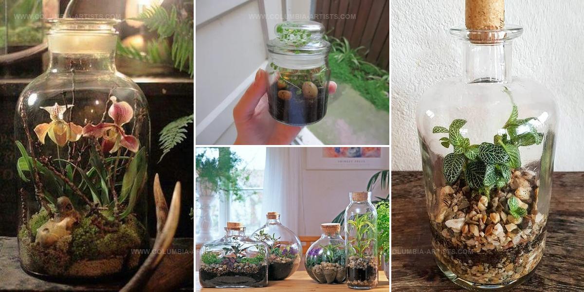 2144814 Sealed Bottle Garden Ideas